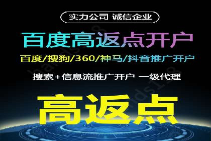 信息流广告推广成功案例深度剖析